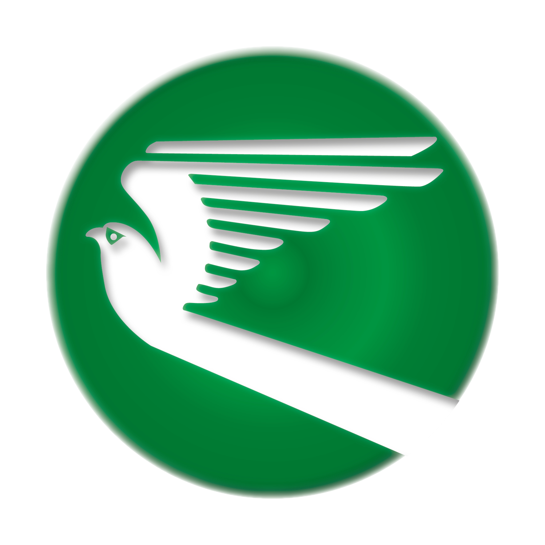 rules-of-air-passenger-transportationinformation-turkmenistanairlines